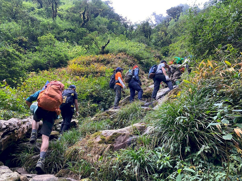 Những cánh rừng bạt ngàn đang đợi bạn khám phá